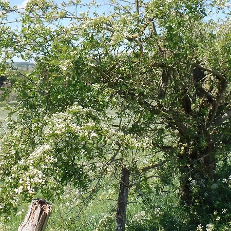 Nocleg ze śniadaniem Sleep *