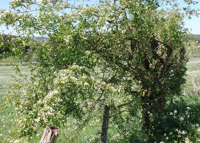 Nocleg ze śniadaniem Sleep *